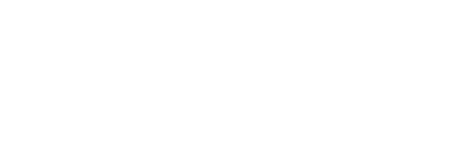 Real Vision